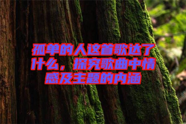 孤單的人這首歌達了什么，探究歌曲中情感及主題的內(nèi)涵