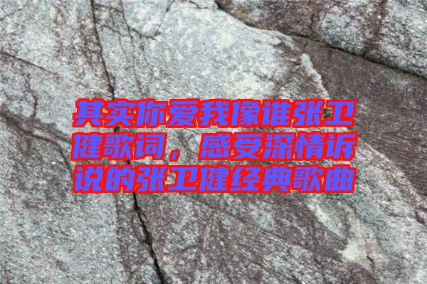 其實你愛我像誰張衛(wèi)健歌詞，感受深情訴說的張衛(wèi)健經典歌曲