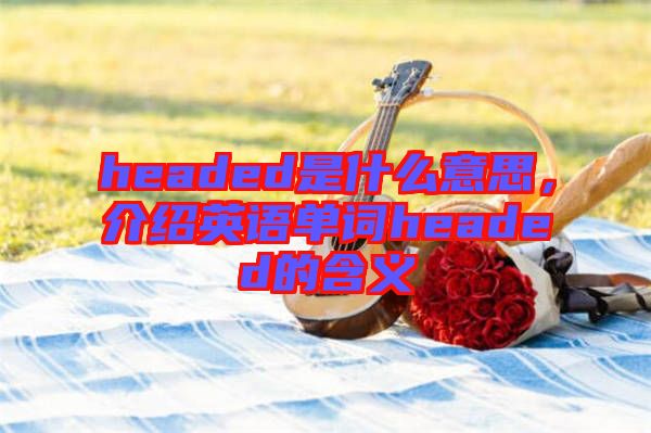 headed是什么意思，介紹英語(yǔ)單詞headed的含義