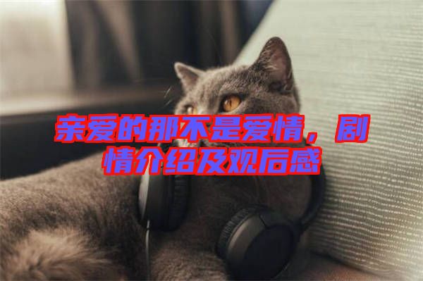 親愛的那不是愛情，劇情介紹及觀后感