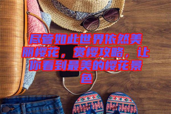 盡管如此世界依然美麗櫻花，賞櫻攻略，讓你看到最美的櫻花景色