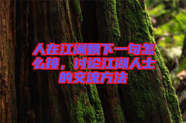 人在江湖飄下一句怎么接，討論江湖人士的交流方法