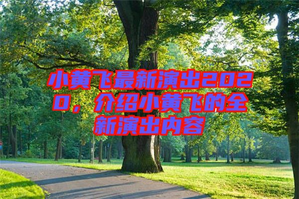 小黃飛最新演出2020，介紹小黃飛的全新演出內(nèi)容