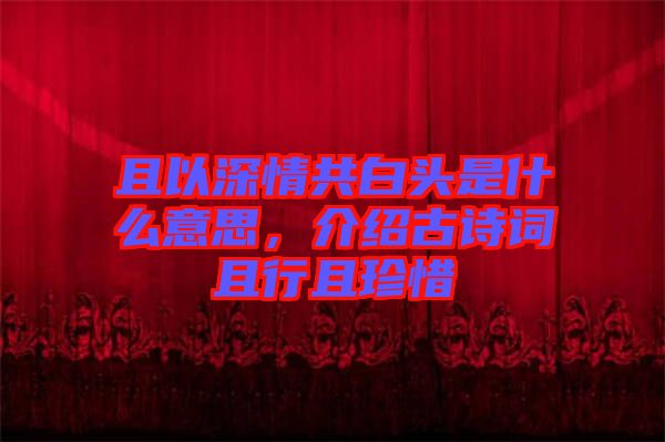 且以深情共白頭是什么意思，介紹古詩詞且行且珍惜