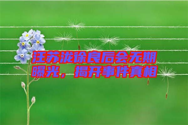汪蘇瀧徐良后會(huì)無(wú)期曝光，揭開事件真相