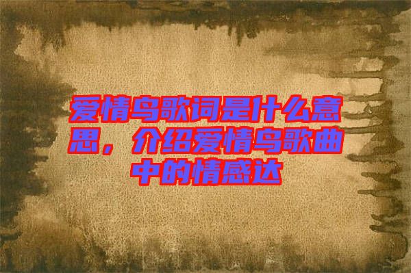 愛(ài)情鳥歌詞是什么意思，介紹愛(ài)情鳥歌曲中的情感達(dá)