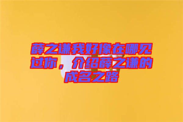 薛之謙我好像在哪見過(guò)你，介紹薛之謙的成名之路