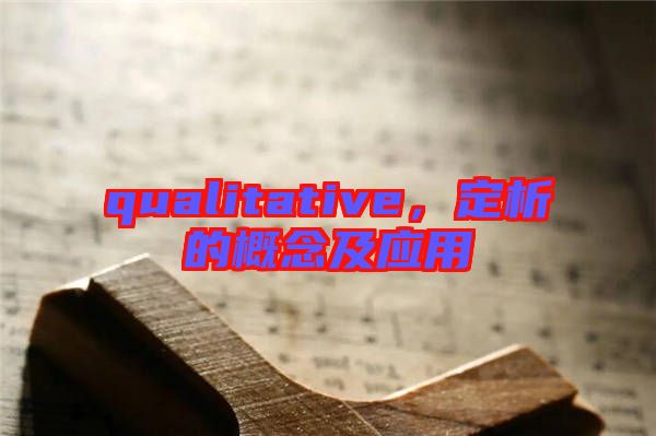 qualitative，定析的概念及應(yīng)用