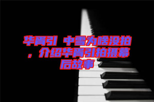 華胥引柸中雪為啥沒拍，介紹華胥引拍攝幕后故事