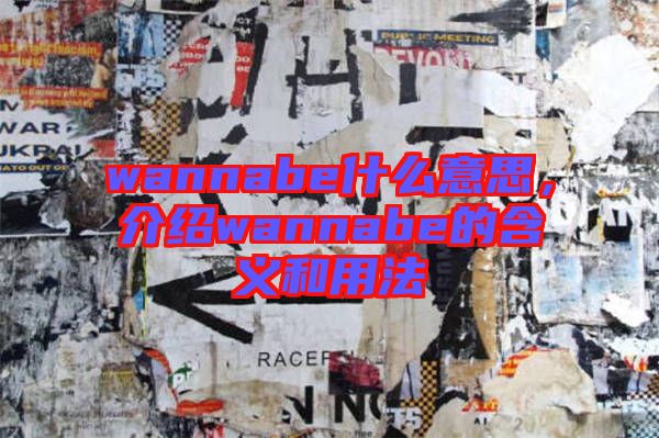wannabe什么意思，介紹wannabe的含義和用法