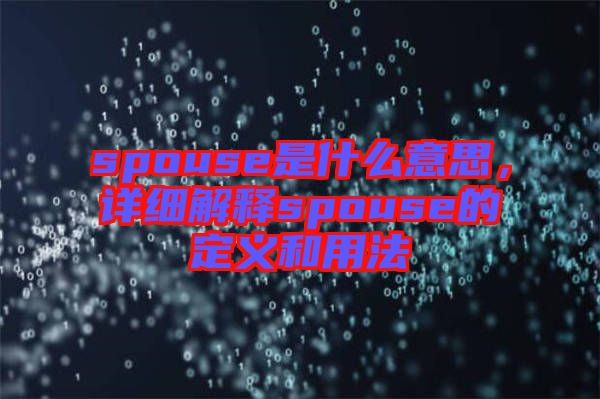 spouse是什么意思，詳細(xì)解釋spouse的定義和用法