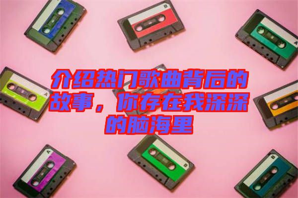 介紹熱門歌曲背后的故事，你存在我深深的腦海里