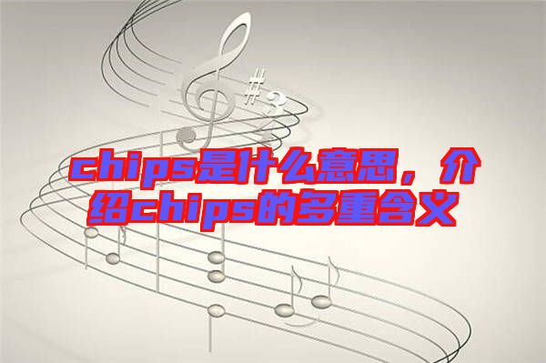 chips是什么意思，介紹chips的多重含義