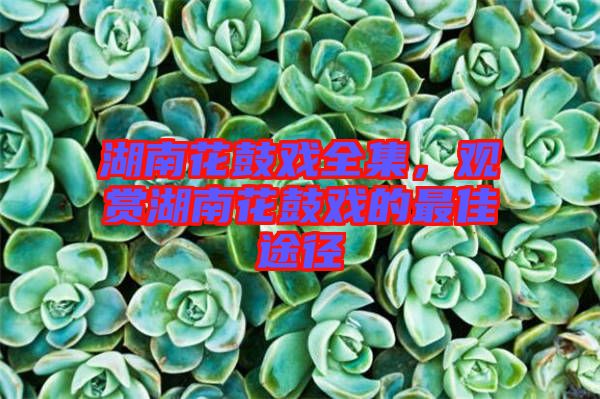 湖南花鼓戲全集，觀賞湖南花鼓戲的最佳途徑