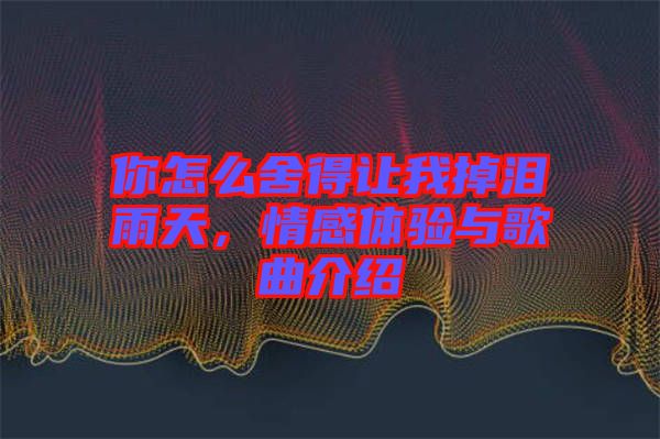 你怎么舍得讓我掉淚雨天，情感體驗與歌曲介紹