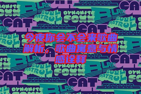 今夜你會不會來歌曲解析，歌曲寓意與情感詮釋