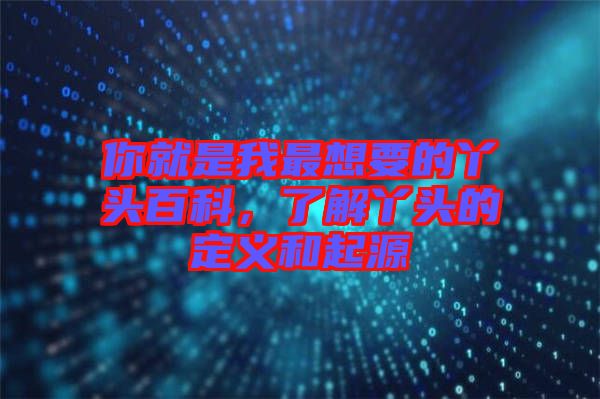 你就是我最想要的丫頭百科，了解丫頭的定義和起源
