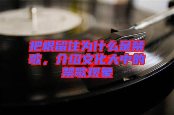 把根留住為什么是禁歌，介紹文化大中的禁歌現(xiàn)象