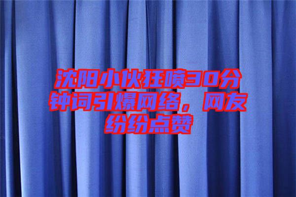 沈陽小伙狂噴30分鐘詞引爆網(wǎng)絡(luò)，網(wǎng)友紛紛點(diǎn)贊