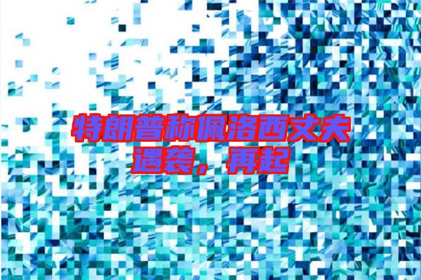 特朗普稱佩洛西丈夫遇襲，再起