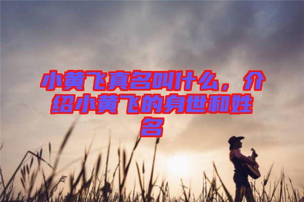 小黃飛真名叫什么，介紹小黃飛的身世和姓名