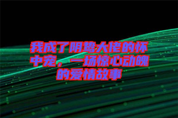 我成了陰鷙大佬的懷中寵，一場(chǎng)驚心動(dòng)魄的愛(ài)情故事