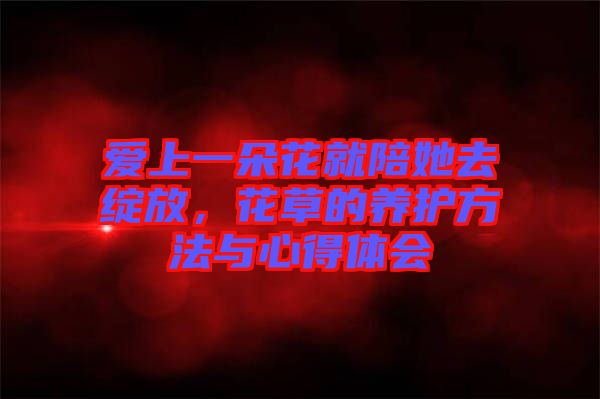 愛上一朵花就陪她去綻放，花草的養(yǎng)護(hù)方法與心得體會