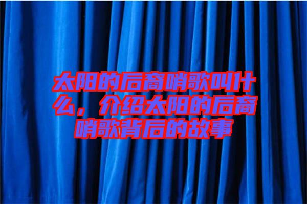太陽的后裔哨歌叫什么，介紹太陽的后裔哨歌背后的故事