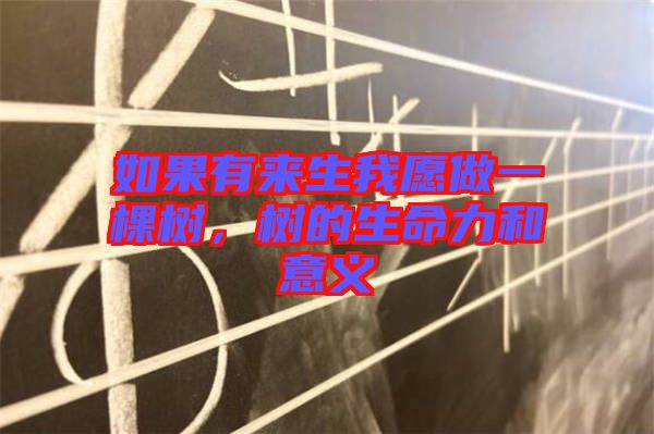如果有來生我愿做一棵樹，樹的生命力和意義