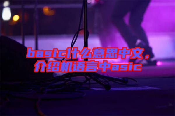 basic什么意思中文，介紹機語言中asic
