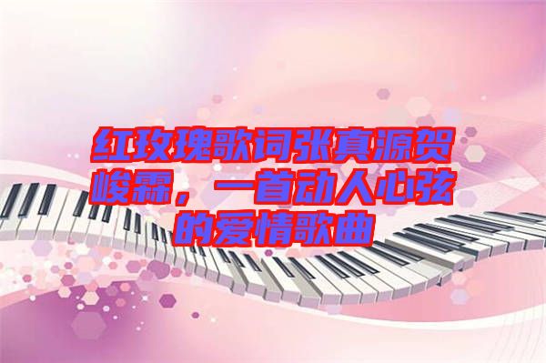 紅玫瑰歌詞張真源賀峻霖，一首動(dòng)人心弦的愛情歌曲