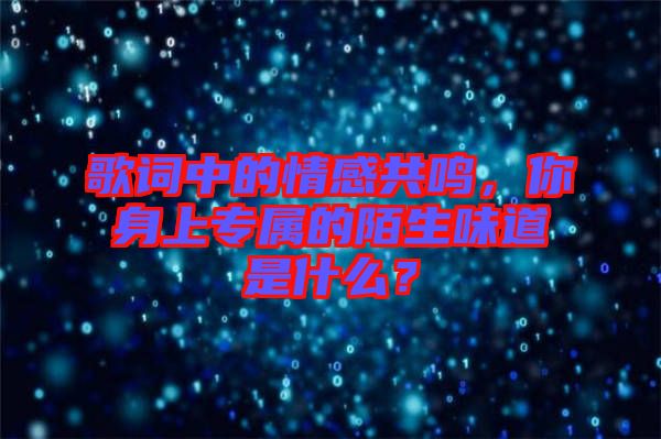 歌詞中的情感共鳴，你身上專屬的陌生味道是什么？