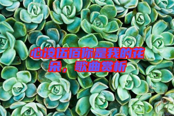 心凌伍佰你是我的花朵，歌曲賞析