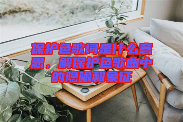 保護(hù)色歌詞是什么意思，解保護(hù)色歌曲中的隱喻和象征