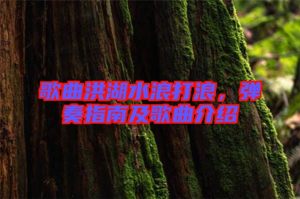 歌曲洪湖水浪打浪，彈奏指南及歌曲介紹