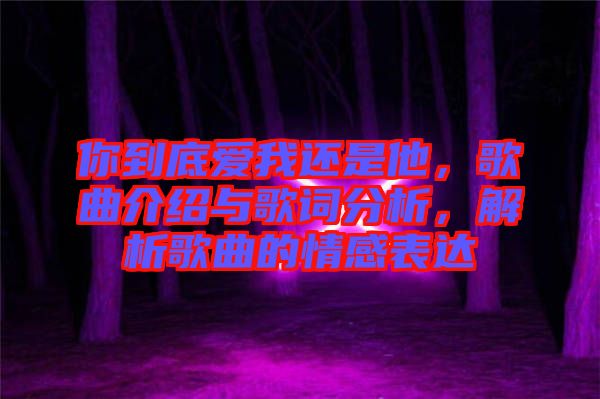 你到底愛我還是他，歌曲介紹與歌詞分析，解析歌曲的情感表達