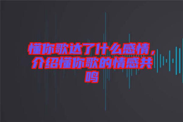 懂你歌達了什么感情，介紹懂你歌的情感共鳴