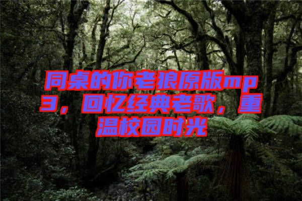 同桌的你老狼原版mp3，回憶經(jīng)典老歌，重溫校園時(shí)光