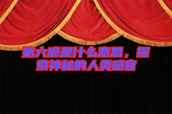 第六感是什么意思，探索神秘的人類感官