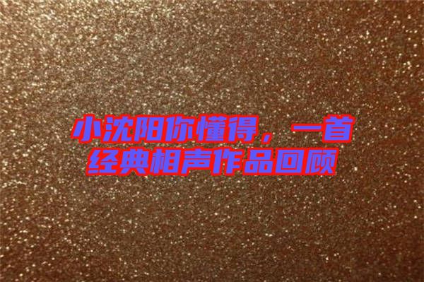小沈陽(yáng)你懂得，一首經(jīng)典相聲作品回顧
