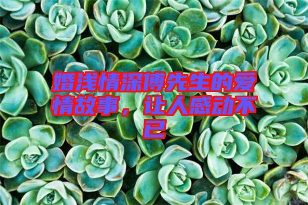 婚淺情深傅先生的愛(ài)情故事，讓人感動(dòng)不已