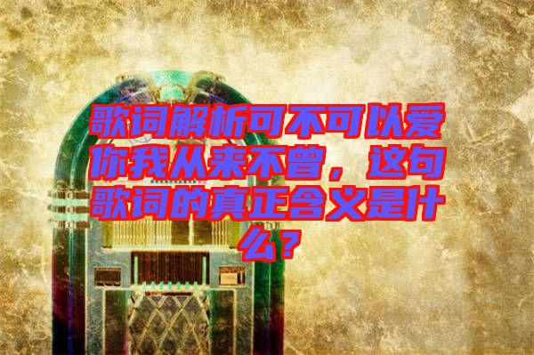 歌詞解析可不可以愛你我從來不曾，這句歌詞的真正含義是什么？