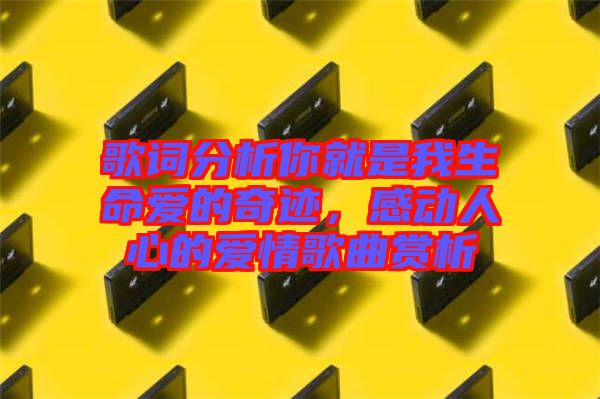歌詞分析你就是我生命愛的奇跡，感動(dòng)人心的愛情歌曲賞析