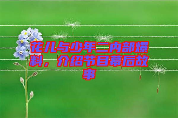花兒與少年二內部爆料，介紹節(jié)目幕后故事