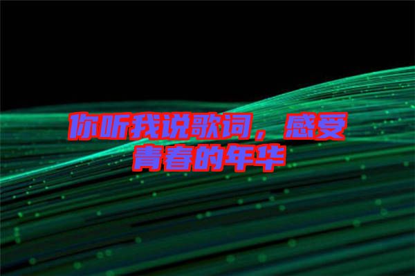 你聽我說歌詞，感受青春的年華