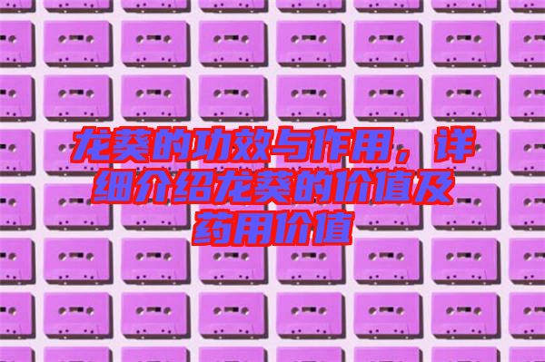 龍葵的功效與作用，詳細(xì)介紹龍葵的價(jià)值及藥用價(jià)值