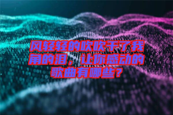 風(fēng)輕輕的吹吹干了我角的淚，讓你感動(dòng)的歌曲有哪些？