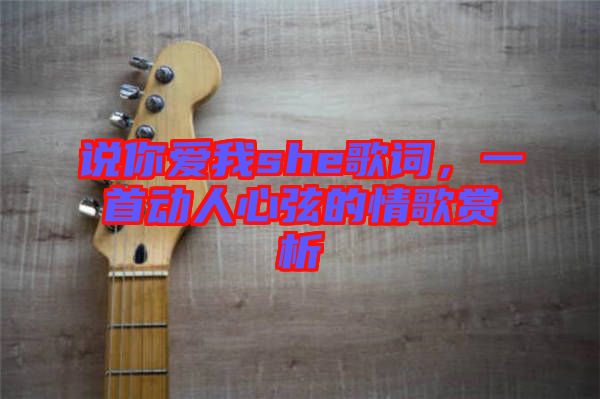 說你愛我she歌詞，一首動人心弦的情歌賞析