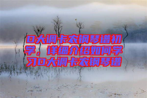 D大調(diào)卡農(nóng)鋼琴譜初學(xué)，詳細(xì)介紹如何學(xué)習(xí)D大調(diào)卡農(nóng)鋼琴譜