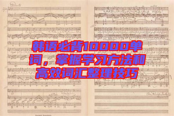 韓語必背10000單詞，掌握學(xué)習(xí)方法和高效詞匯整理技巧